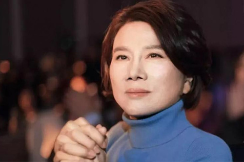 董老板500億財(cái)力準(zhǔn)備，助力芯片行業(yè)發(fā)展